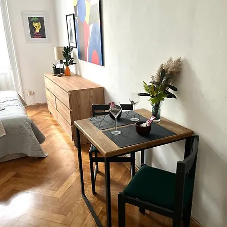 Robins Nest In The Center Apartma Maribor